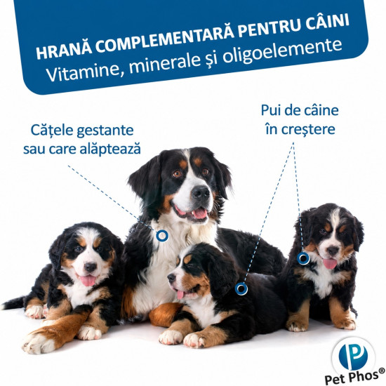PET PHOS Croissance Grand Chien, 100 comprimate – suport mineral și vitaminic pentru juniori de talie mare